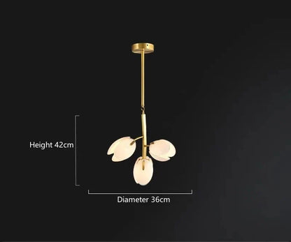 Tulipé