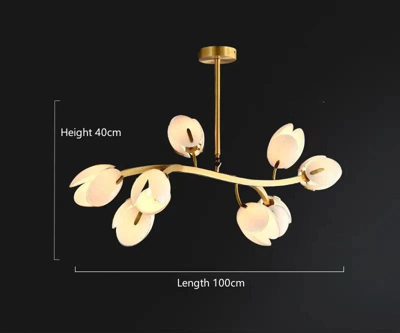 Tulipé